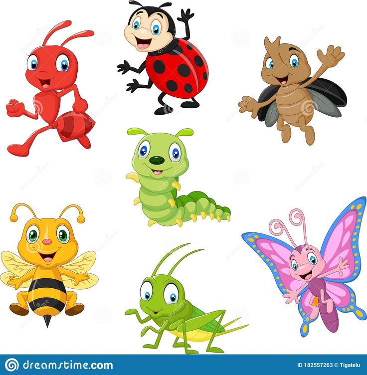 cartoon bugs and insects set on white background