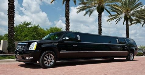 a black stretch limo parked in front of palm trees