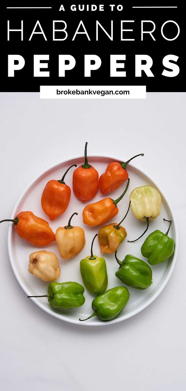 peppers on a plate with text overlay that reads the ultimate guide to habanero peppers