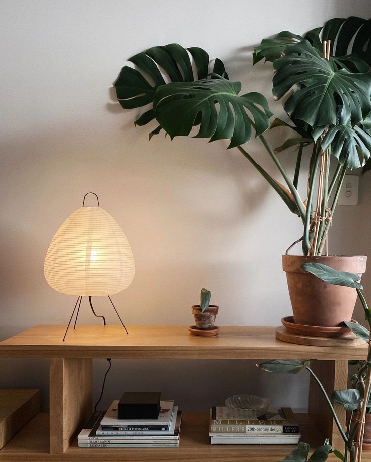 a table with a lamp, potted plant and books on it