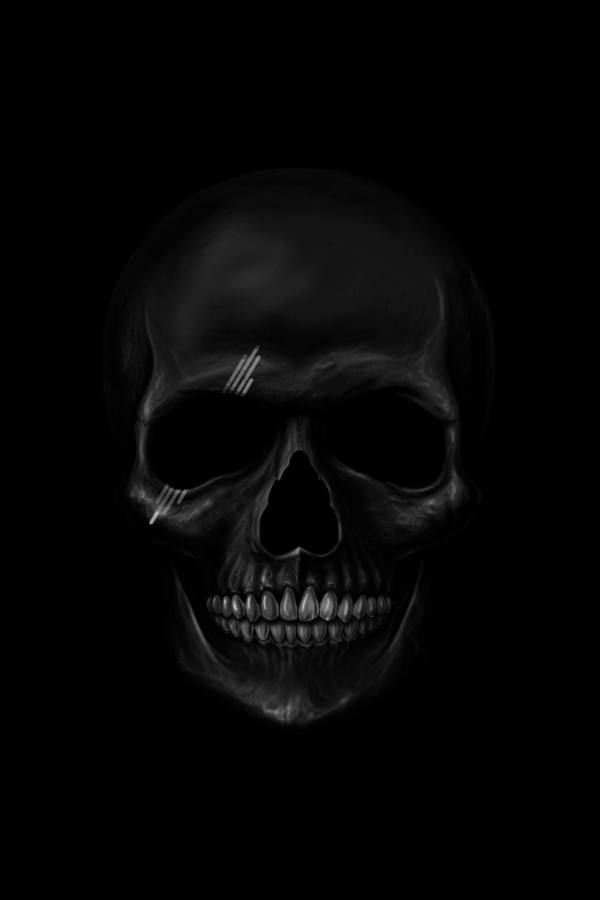 a black and white photo of a skull in the dark