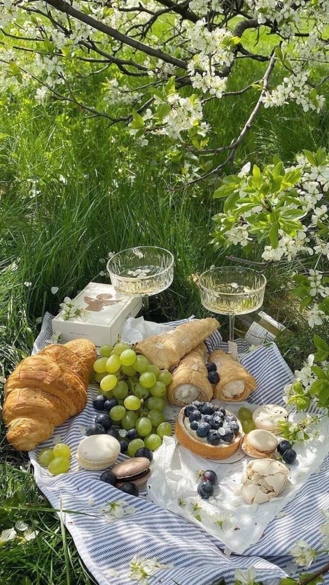 a table topped with bread and grapes next to wine glasses on top of a blanket