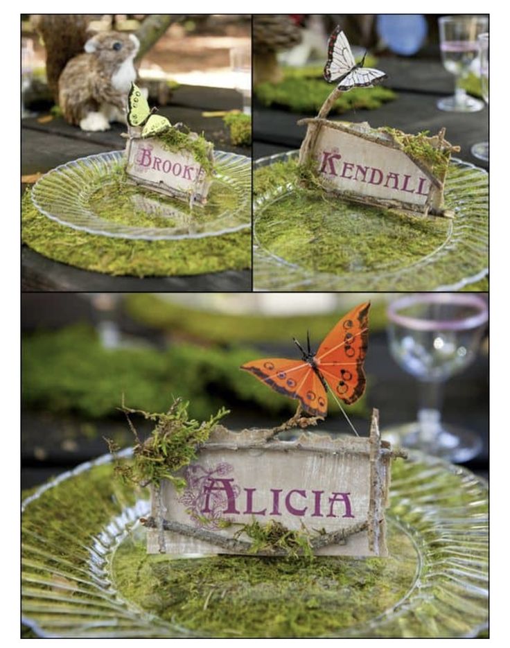 there are pictures of butterflies on top of a glass plate that is decorated with moss