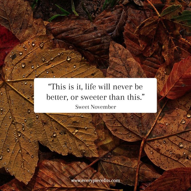 leaves with water droplets on them and a quote about life is like never be better, or sweeter than this