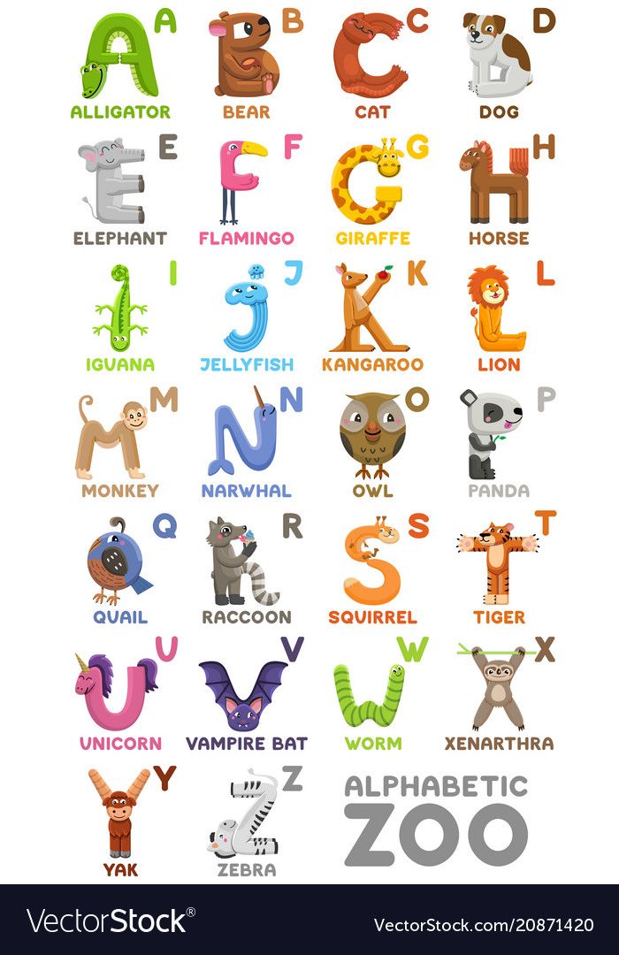 an alphabet with animals and letters for children's room or nursery wallpapers