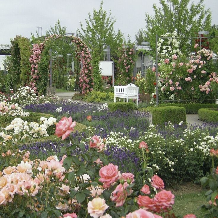 a garden filled with lots of flowers next to a lush green park covered in pink and white roses