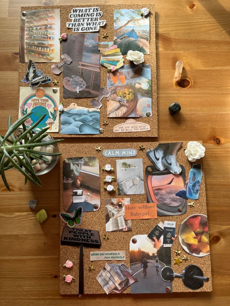 a cork board covered in pictures and magnets next to a potted plant on top of a wooden table