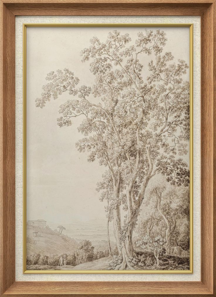 a drawing of trees in a wooded area