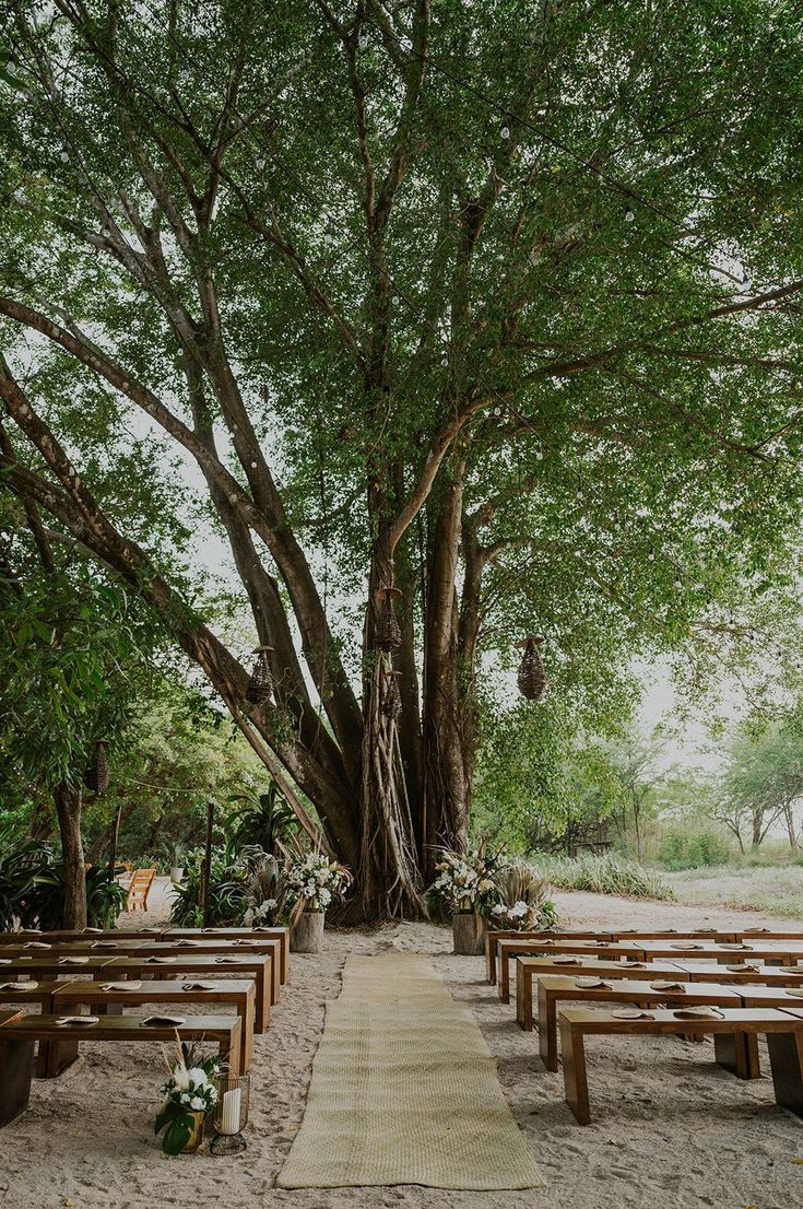 an outdoor ceremony setup with wooden benches and tables under a large tree in the sand