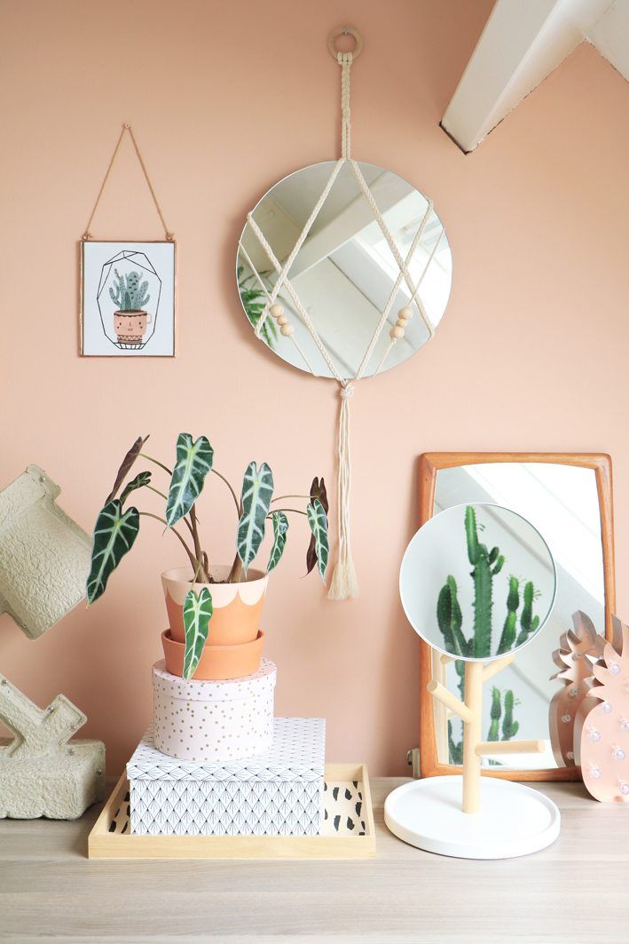 some plants are sitting on a shelf in front of a mirror and potted plant