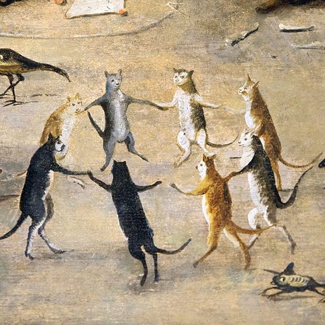 several cats playing with each other on the ground