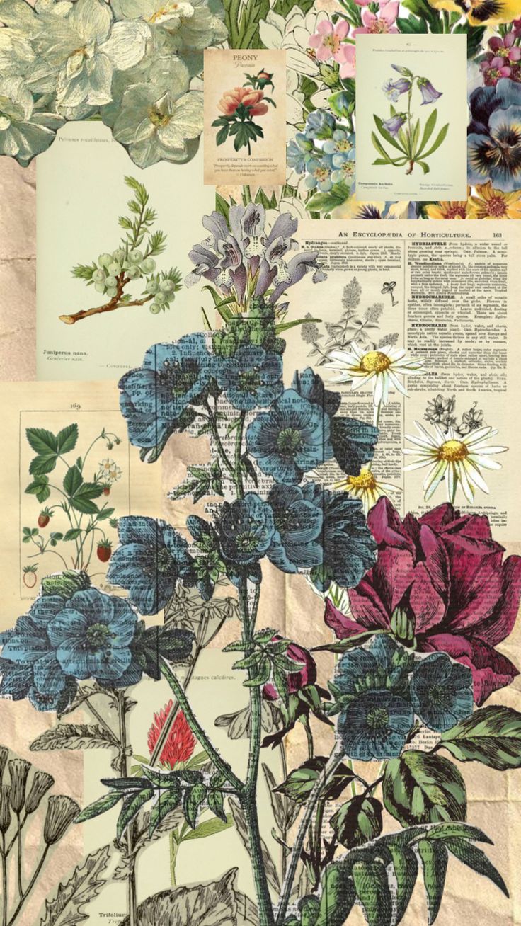 a collage of various flowers and plants on top of a piece of parchment paper