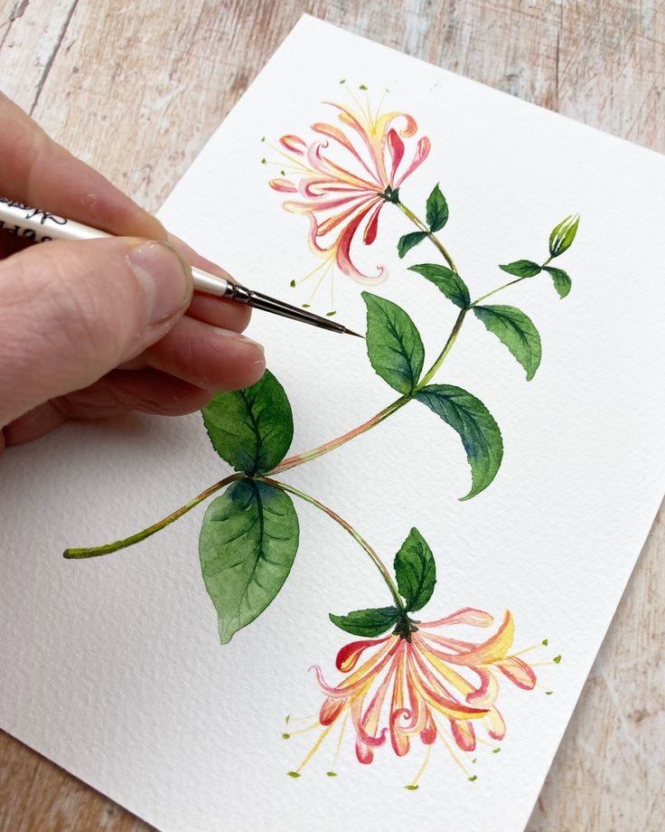 someone is painting flowers with watercolors on paper