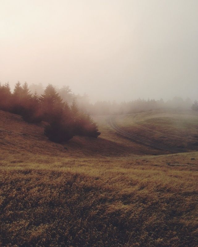 an open field with trees in the distance on a foggy day at sunset or sunrise