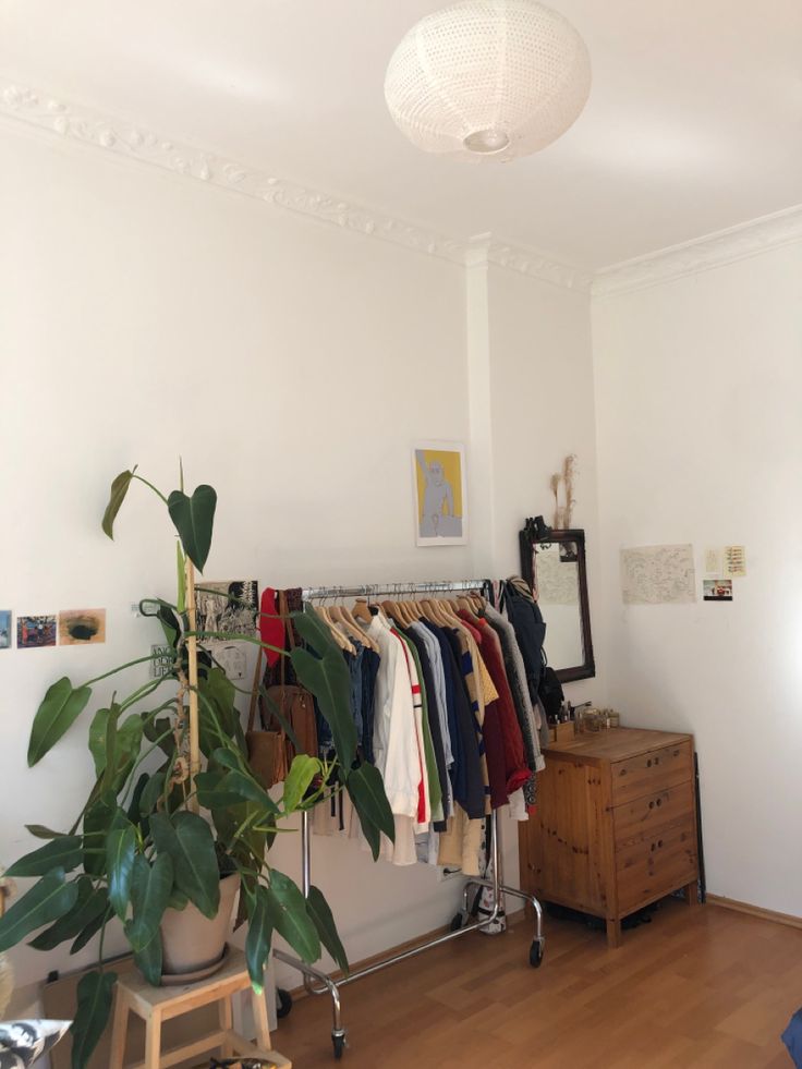 a room with clothes hanging on racks and a potted plant