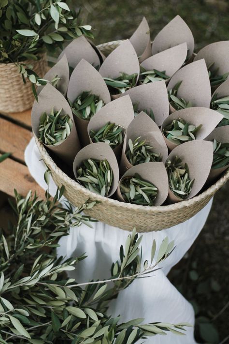 a bunch of rolls of toilet paper sitting on top of a wooden bench next to some plants