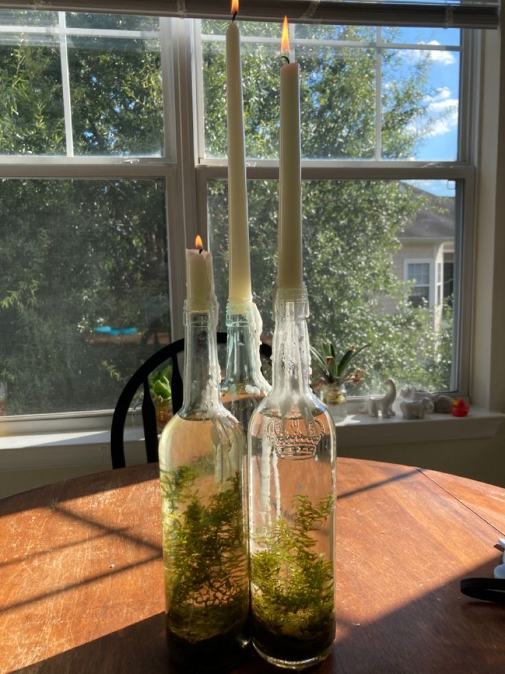 two bottles filled with moss sitting on top of a wooden table next to a window