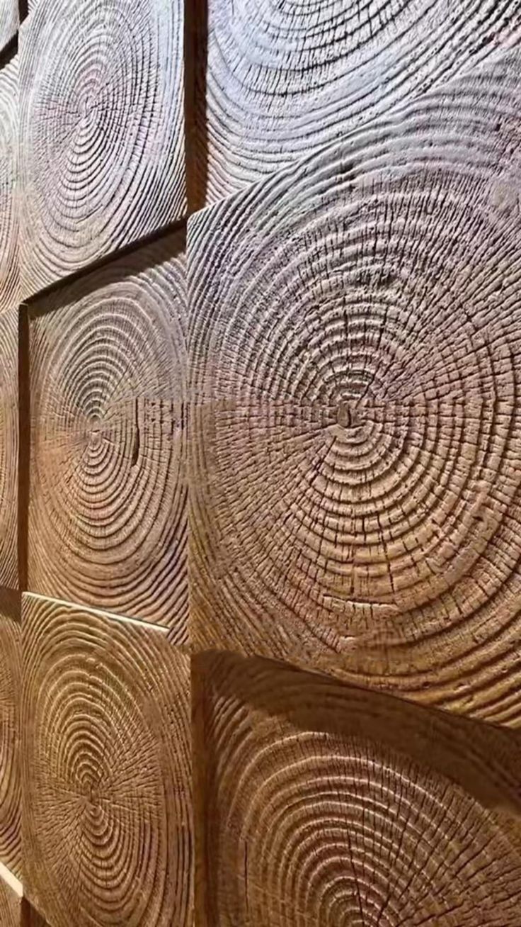 the wood has been cut into circles and is ready to be used as a wall decoration