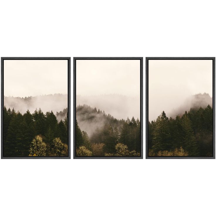 three framed pictures with trees and fog in the background