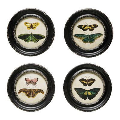 four framed butterflies in black frames on a white background