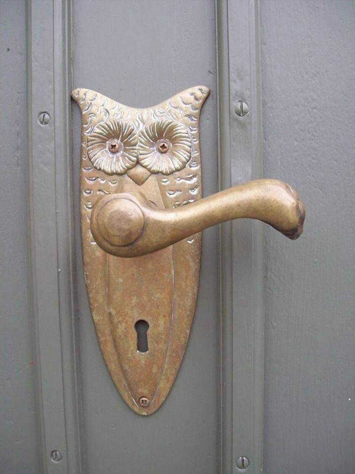 an ornate door handle with two owls on it