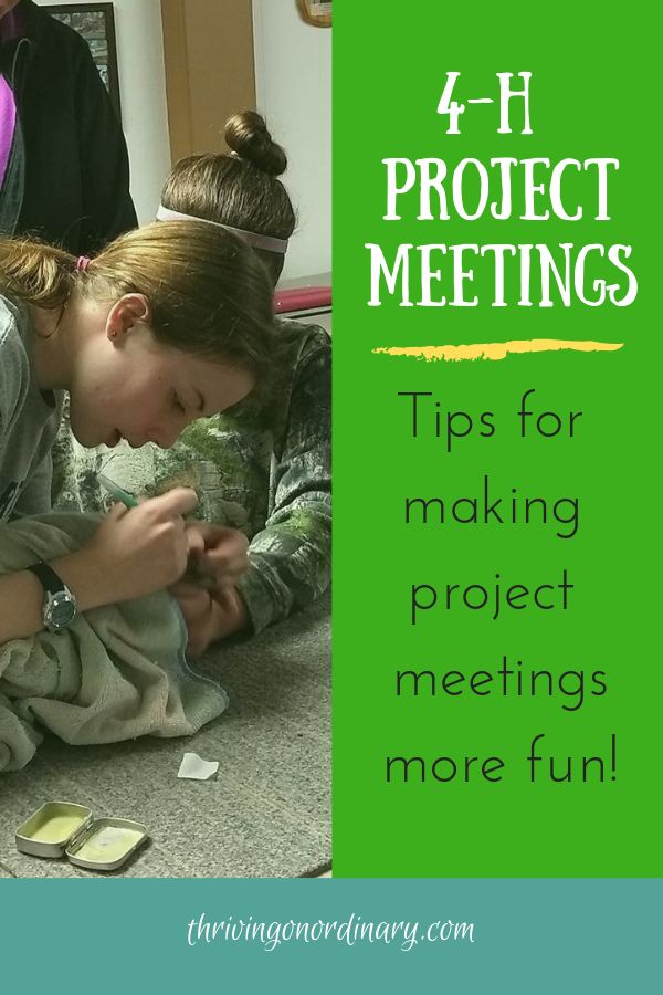 Games For 4h Meetings, 4h Group Activities, 4h Games Activities, 4h Lessons Ideas, 4h Leader Ideas, 4h Meeting Activities Fun, 4 H Presentation Ideas Fun, 4h Group Project Ideas, 4h Presentation Ideas Kids