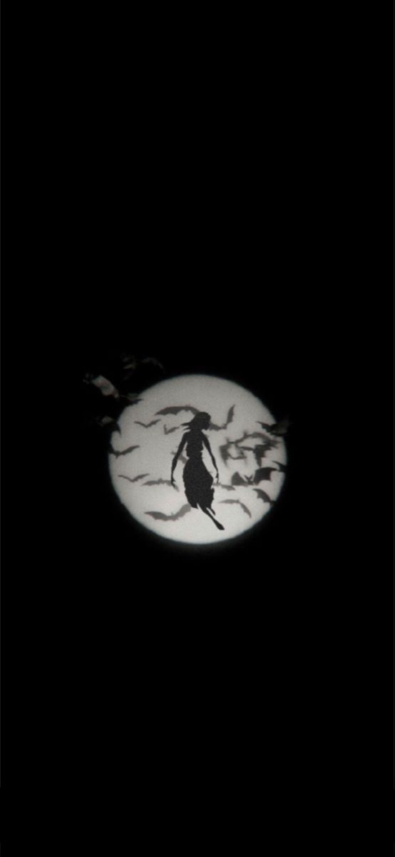 a black and white image of a witch flying in the night sky