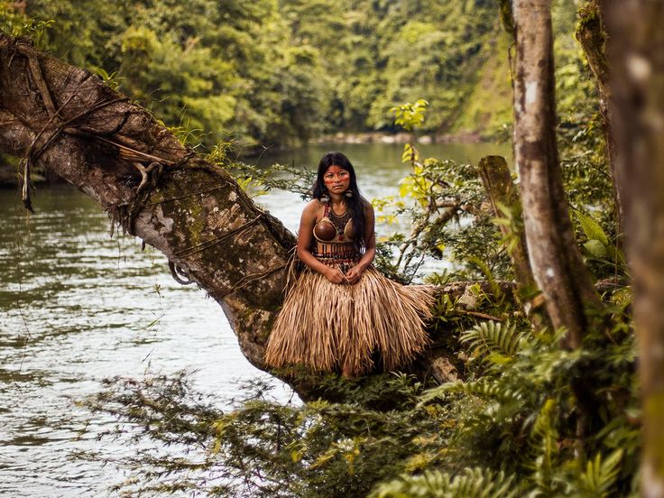 a woman sitting on top of a palm tree next to a river in the jungle