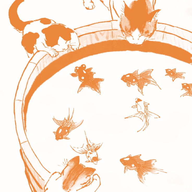 an orange and white drawing of cats playing in a fish bowl with another cat looking on