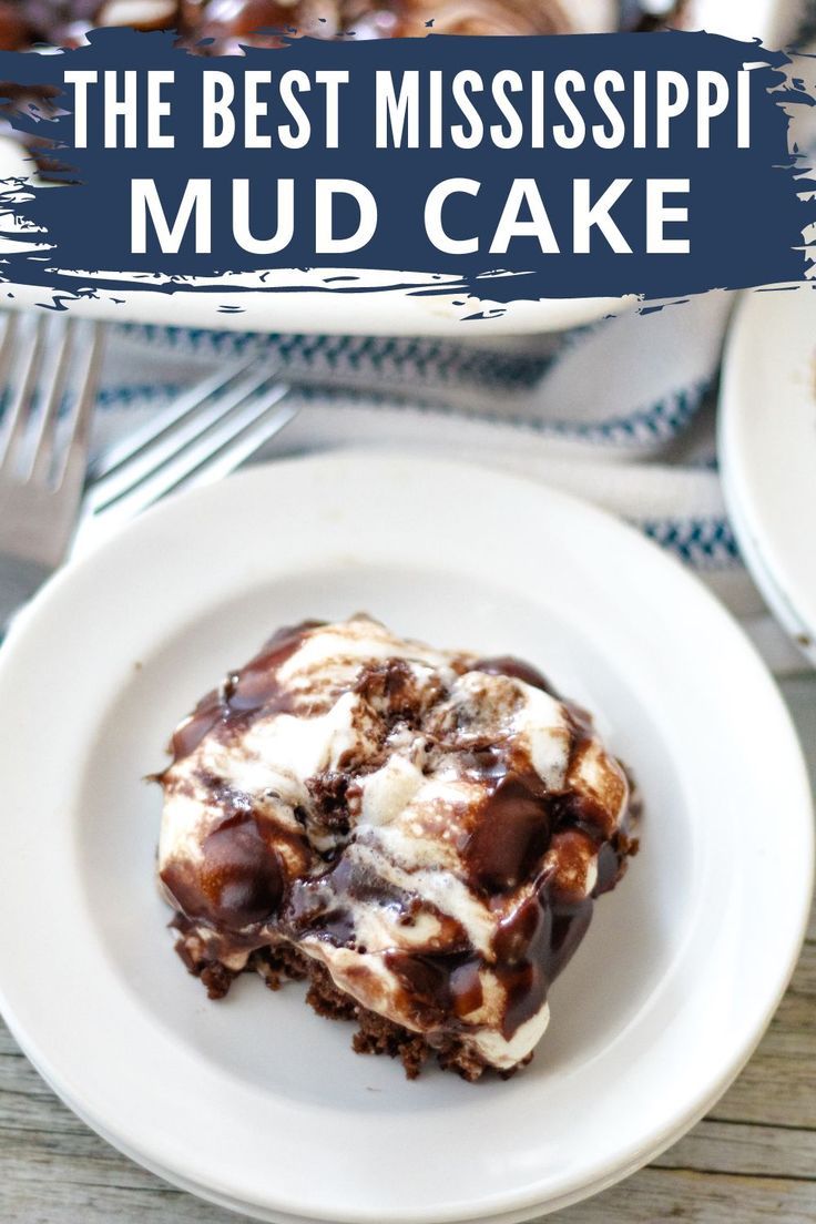 the best mississippi mud cake on a white plate