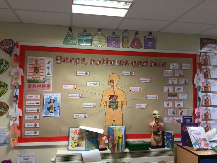 a bulletin board in a classroom with children's books on it