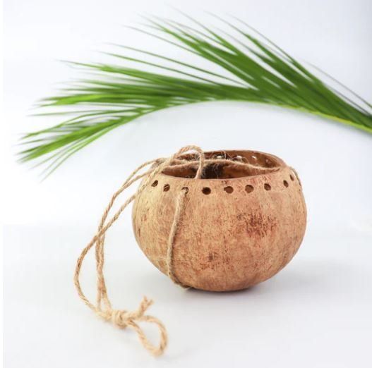 a coconut planter with twine around it on a white surface next to a palm tree