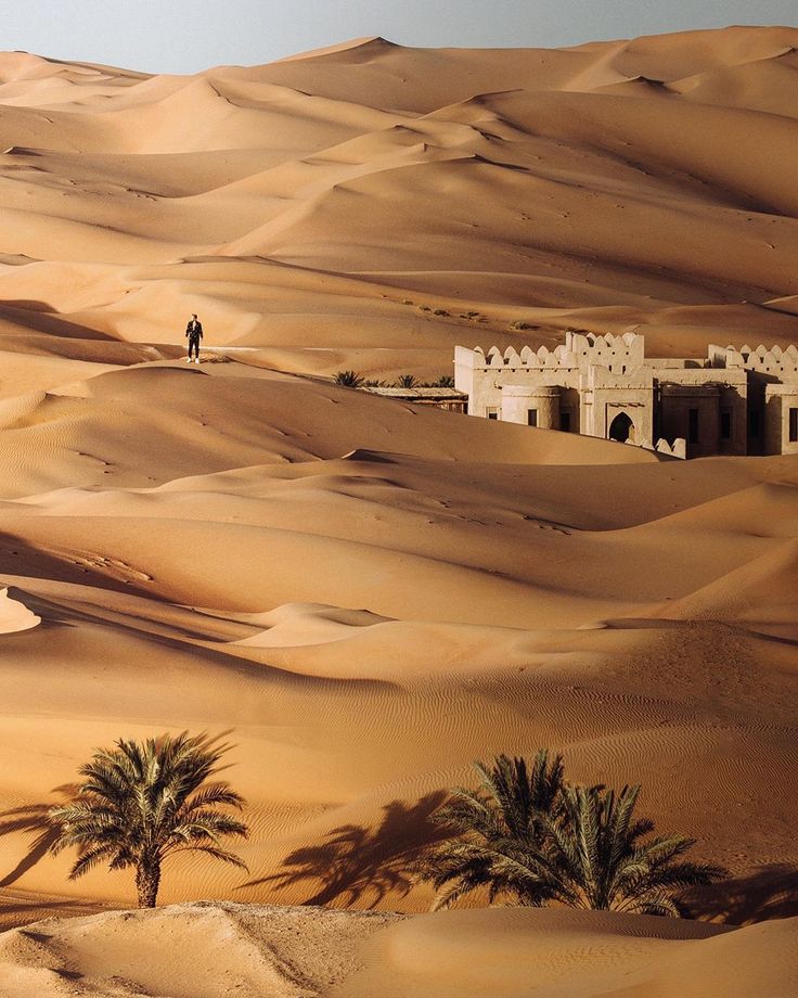 the desert is full of sand dunes and palm trees, with a building in the middle