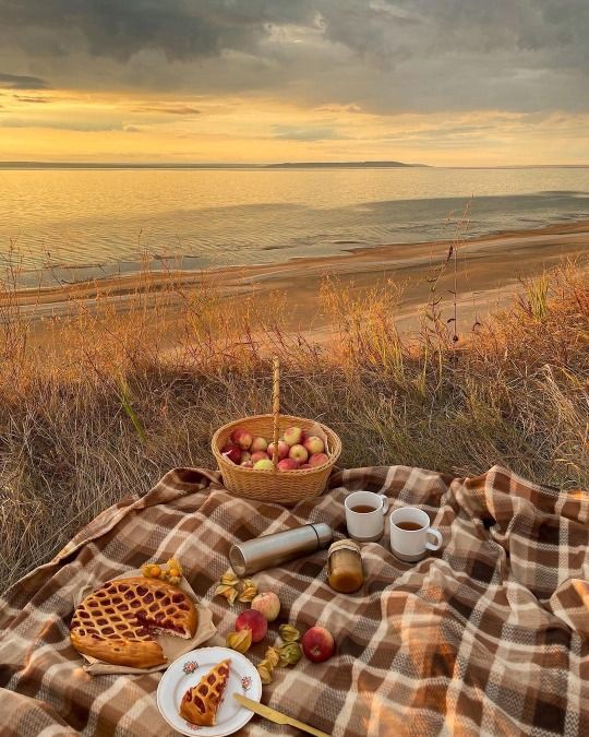 a picnic on the beach with fruit and waffles in front of an ocean