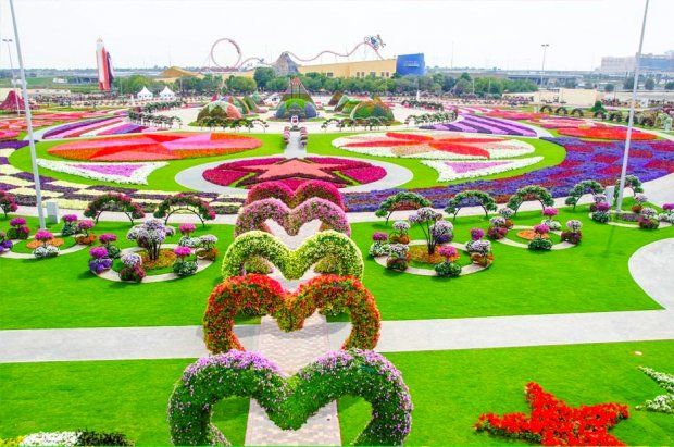 a large garden with lots of flowers in the shape of hearts on top of it