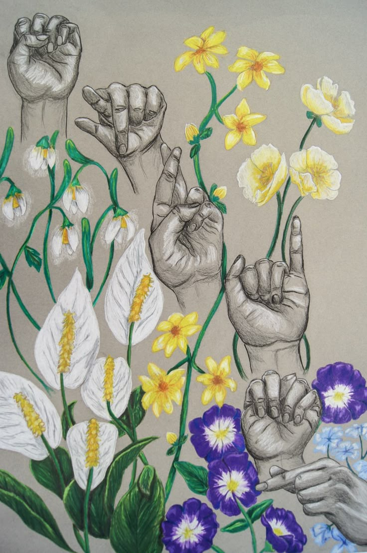 a drawing of two hands holding flowers and the other hand is pointing at them with their fingers