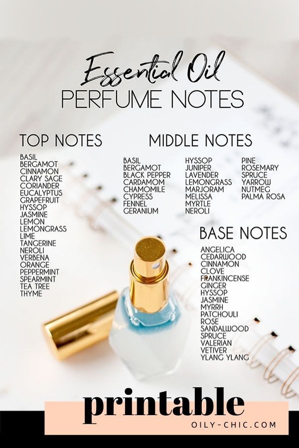 Top Notes Essential Oils, Perfume Base Notes, Diy Body Perfume, Where To Buy Essential Oils, How To Make Oil Based Perfume, Essential Oil Ideas, Essential Oils As Perfume, Essential Oil Perfume Roller Blends, Oil Based Perfume Diy