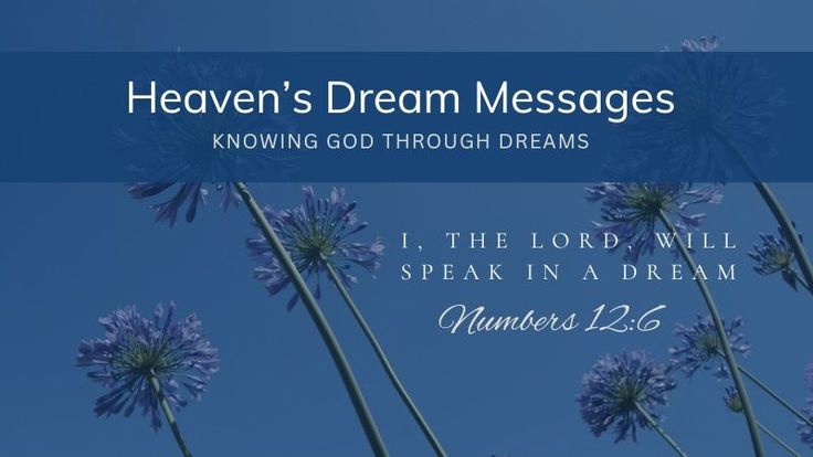 Jenny Needham | Heaven’s Dream Messages