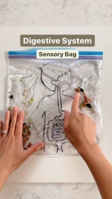 two hands reaching for some food in a bag on a table with the words, digest system sensory bag