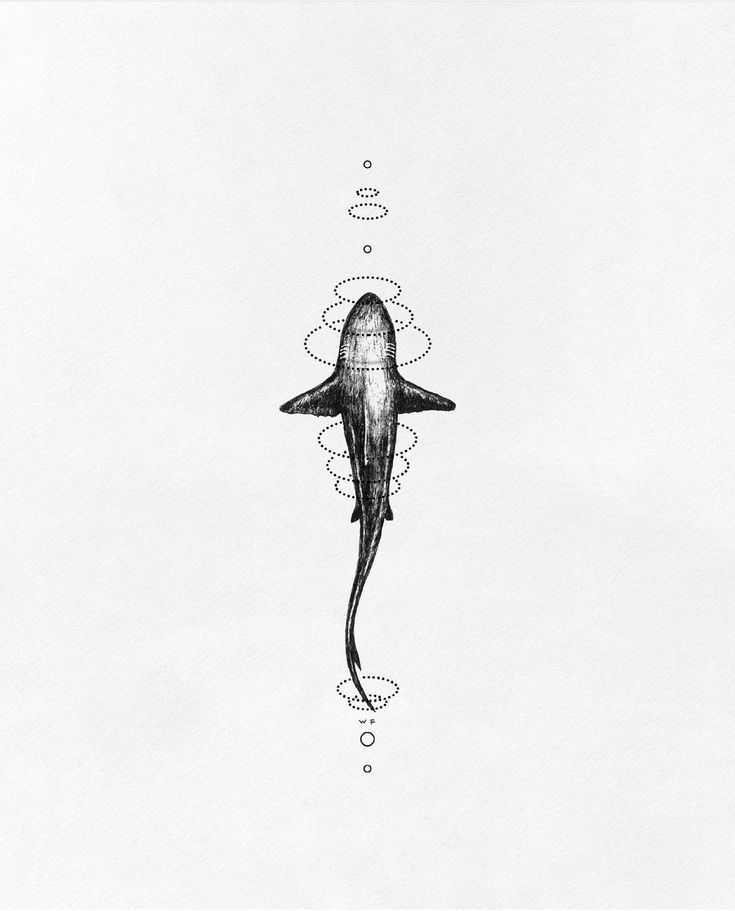 a black and white drawing of a shark with bubbles coming out of it's mouth