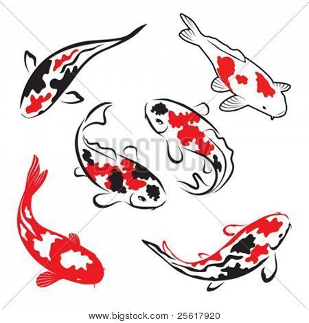 four koi fish swimming in the water with red and black spots on their body