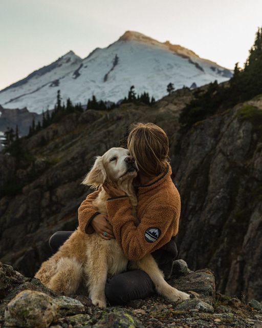 a woman sitting on top of a rocky mountain hugging her golden retriever dog in front of a snow covered mountain