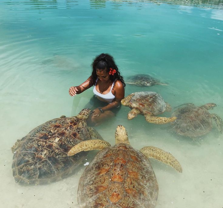 a woman kneeling in the water with several sea turtles