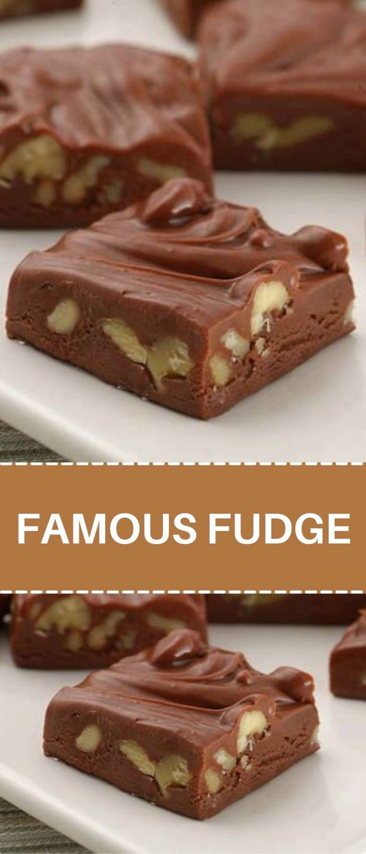 chocolate fudge bars on a white plate with the words famous fudge written below