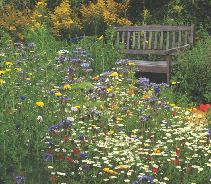 a wooden bench sitting in the middle of a field of wildflowers and daisies