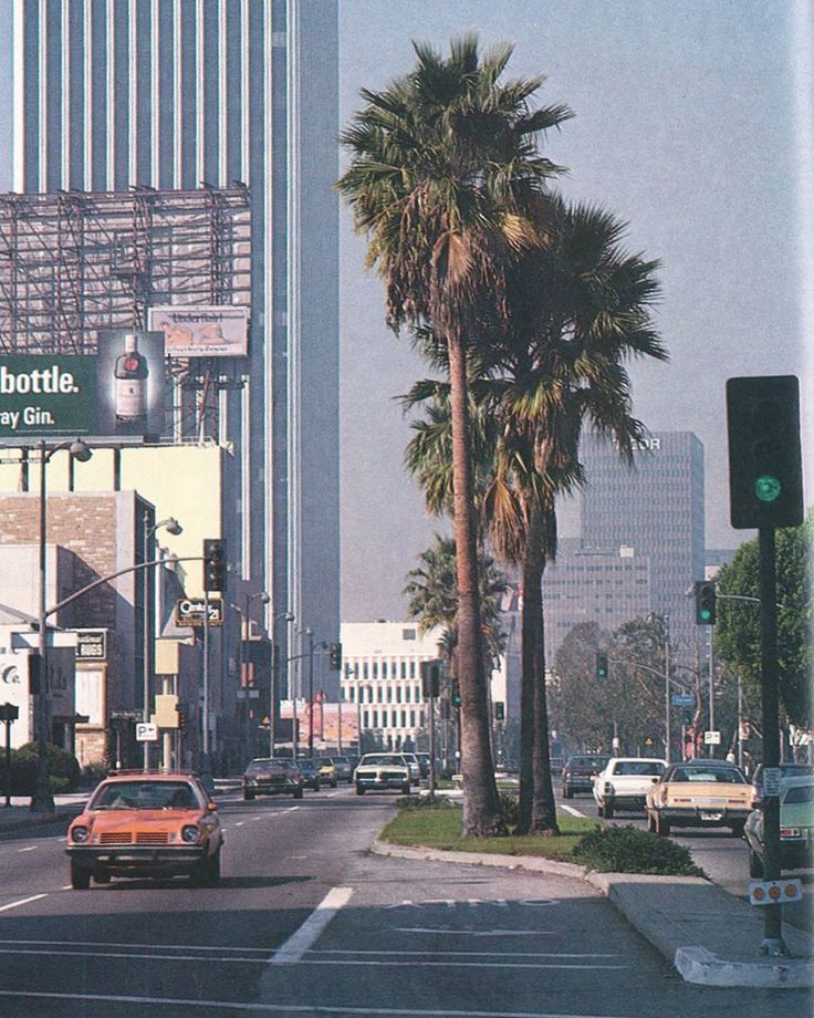 a city street with tall buildings and palm trees