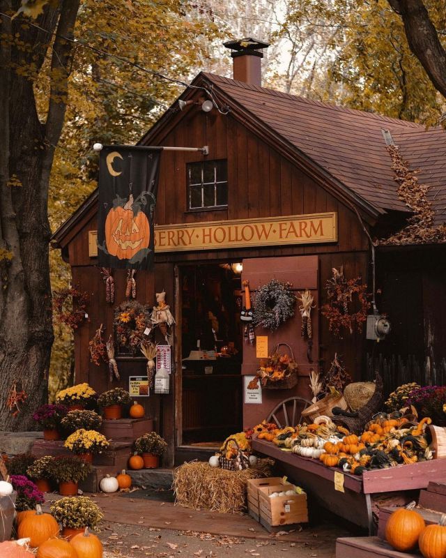 an outdoor store with pumpkins and other decorations on display in front of the building