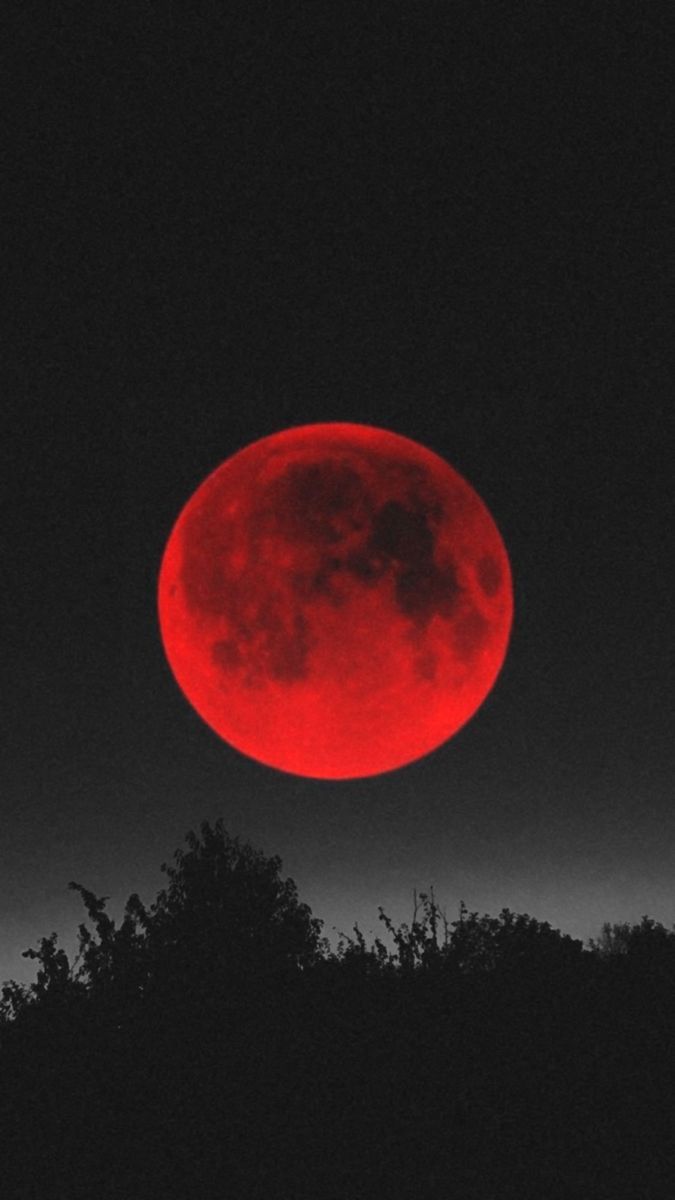 a red moon is seen in the night sky above some trees and bushes on a hill