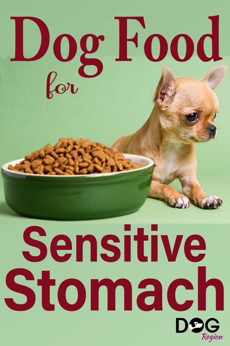 Best Dog Foods With Sensitive Stomachs Dog Food For Sensitive Stomachs, Homemade Dog Food For Sensitive Stomachs, Food Recipes For Dogs, Low Fat Dog Food, Food For Sensitive Stomach, Recipes For Dogs, Home Cooked Dog Food, Diy Dog Food, Make Dog Food