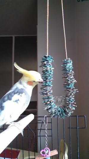 a bird sitting on top of a wooden perch next to a necklace hanging from a wire